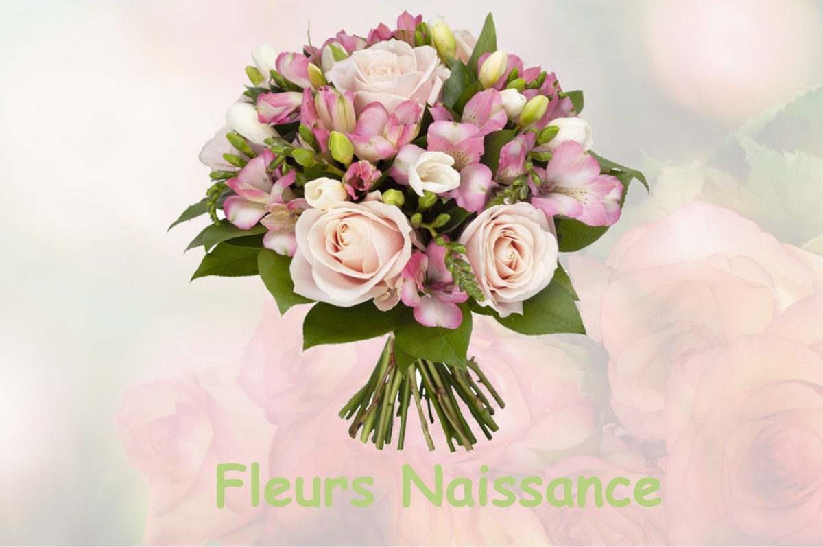 fleurs naissance COULOMBS